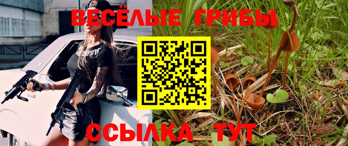 Архангельск  Псилоцибиновые грибы Cubensis  Вход с VPN  продажа наркотиков  Псилоцибиновые грибы Psilocybine cubensis 